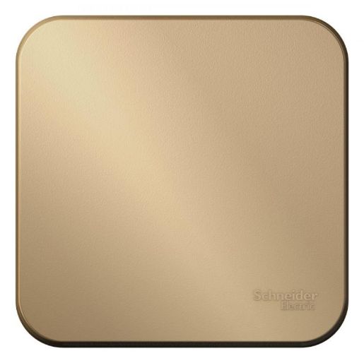 Изображение Выключатель 1-кл. ОП Blanca 10А IP20 (сх. 1) 250В с изолир. пластиной титан SE BLNVA101014