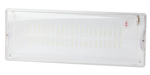 Изображение Светильник светодиодный DPA-301-0-65 40LED 3ч IP65 аварийный непостоянный Эра Б0044405