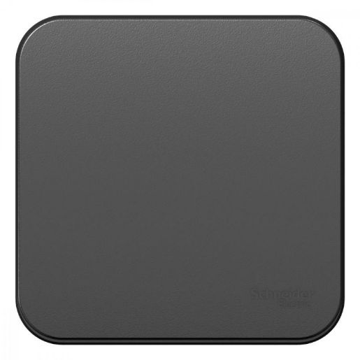 Изображение Переключатель проходной 1-кл. ОП Blanca 10А IP20 (сх. 6) 250В с изолир. пластиной антрацит SE BLNVA106016