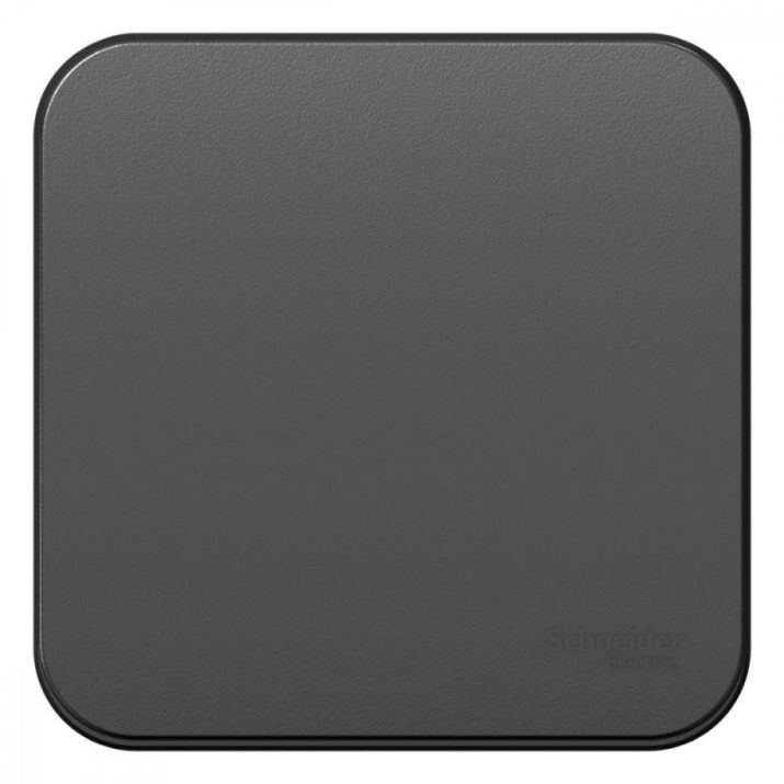 Изображение Переключатель проходной 1-кл. ОП Blanca 10А IP20 (сх. 6) 250В с изолир. пластиной антрацит SE BLNVA106016