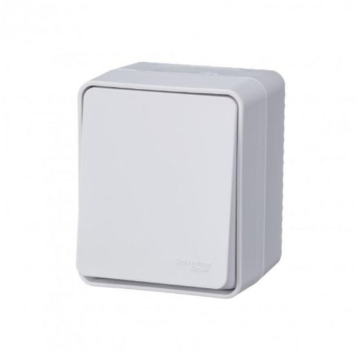 Изображение Переключатель проходной 1-кл. ОП AtlasDesign Profi54 IP54 10AX бел. SE ATN540161