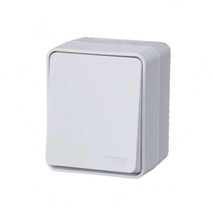 Изображение Переключатель проходной 1-кл. ОП AtlasDesign Profi54 IP54 10AX бел. SE ATN540161