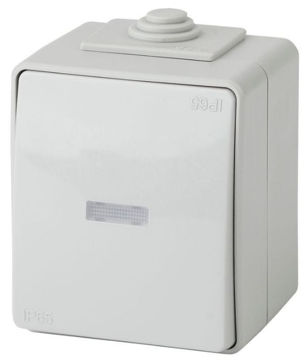 Изображение Выключатель 1-кл. ОП Эра Эксперт 10А IP65 11-1602-03 250В 10AX с подсветкой сер. Эра Б0035974