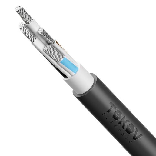 Изображение Кабель TOKOV ELECTRIC АВВГнг(А)-LS 4х150 МС (N) 1кВ (м) УТ000030795