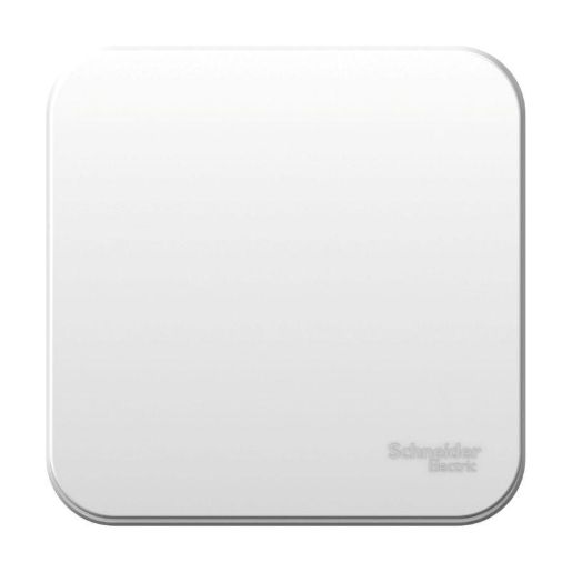 Изображение Выключатель 1-кл. ОП Blanca 10А IP20 (сх. 1) 250В бел. SE BLNVA101001
