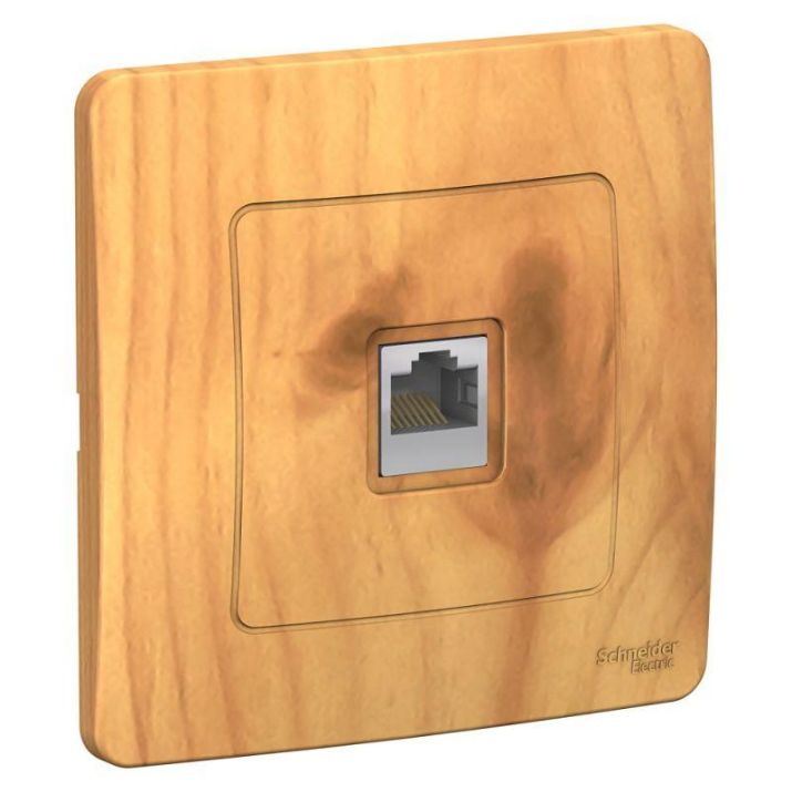 Изображение Розетка компьютерная 1-м СП Blanca RJ45 кат.5E ясень SE BLNIS045005