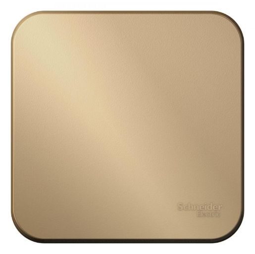 Изображение Переключатель проходной 1-кл. ОП Blanca 10А IP20 (сх. 6) 250В с изолир. пластиной титан SE BLNVA106014