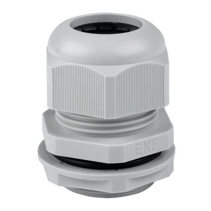 Изображение Сальник PG29 IP54 EKF plc-pg-29