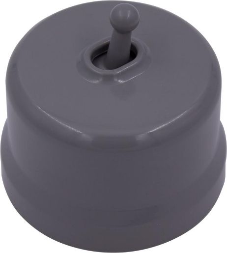 Изображение Выключатель 1-кл. (тумблерный) пластик титан Bironi B1-230-26