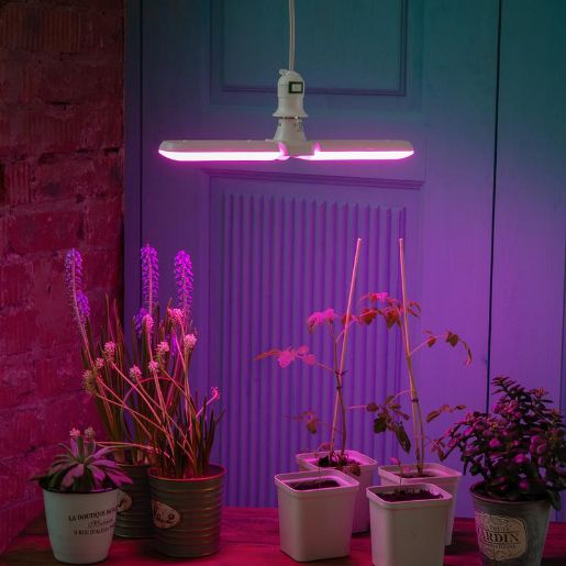 Изображение Лампа светодиодная LED-P65-16W/SPSB/E27/FR/P2 PLP32WH 16Вт P65 лепестковая матовая E27 для растений спектр для рассады и цветения (упак. картон) Uniel UL-00007406
